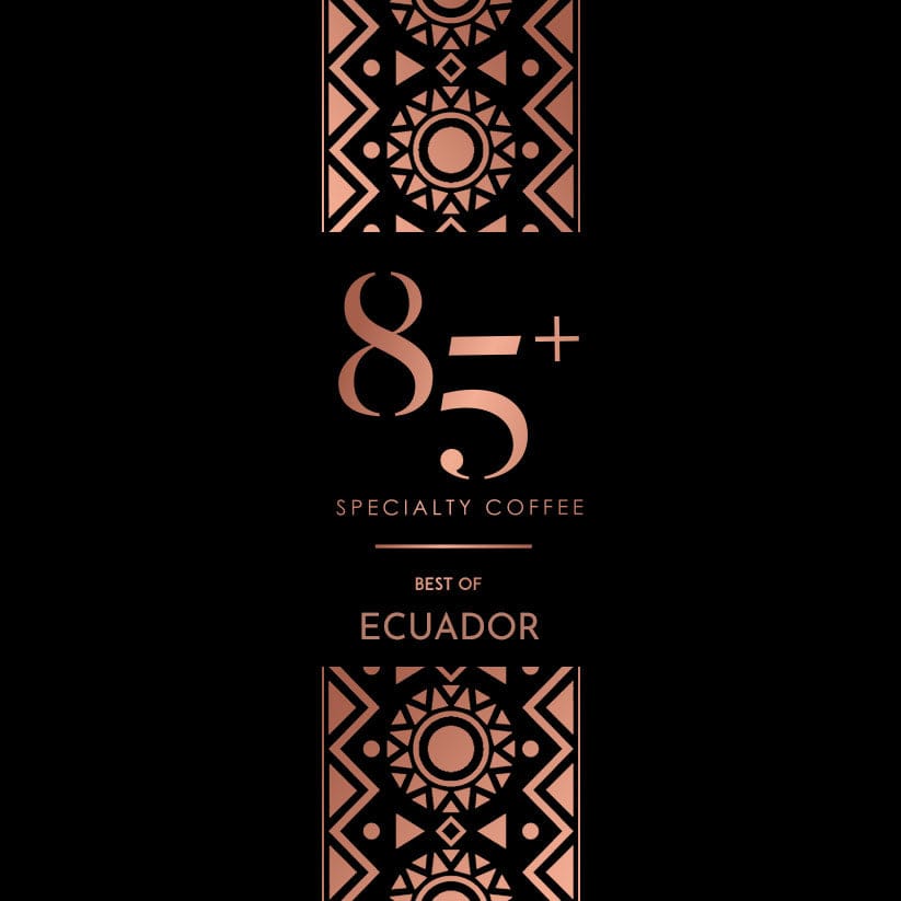 ECUADOR, FARRA | Cup Score 85