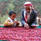 YEMEN, AL-HUSN | Cup Score 86