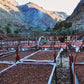 YEMEN, AL-HUSN | Cup Score 86